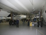 Airspace_001 - standing underneath the Concorde