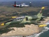 A2A_045 - L39/Sea Fury formation over the Eastern Cape coast