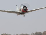 Trojan-2