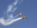 IMG_8323