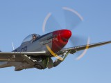 IMG_8560