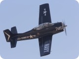 IMG_5979AP