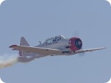 IMG_6011AP