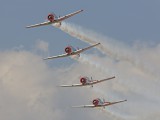 IMG_2008AP