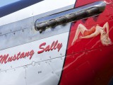Durban_021 - Mustang Sally artwork