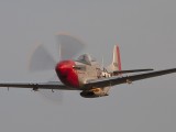 Mustang Sally-9