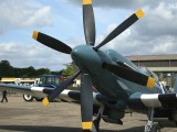 FL2006_013 - not a six bladed prop on a Spit but a contra rotating Griffen engine as fitted to a Shackleton