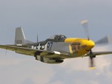 Dux2007_050 - Mustang
