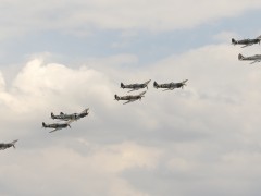 IMG_9939AP