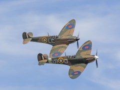 IMG_9941