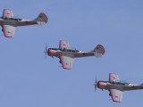 Newcastle_027 - three YAK52's in formation