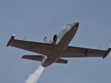 L39-1