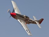 Mustang 3