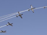 Silver Falcons21