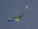 IMG_1139