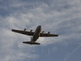 IMG_1461