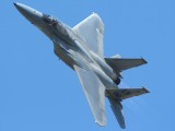 RIAT2006_013 - a great view of the F15 and also of the pilot