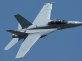 RIAT2006_022 - another view of the F18 Super Hornet showing it's top to the photographers