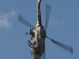 RIAT2007_051 - Lynx