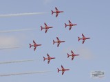 IMG_1573