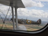 IMG_1563AP