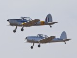 Chipmunk_1