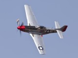 Mustang_7
