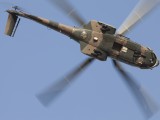 Oryx 4