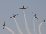 Silver Falcons 12