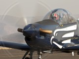 Silver Falcons 17