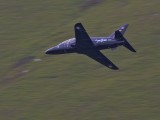 LFA_006 - same Hawk going down the valley